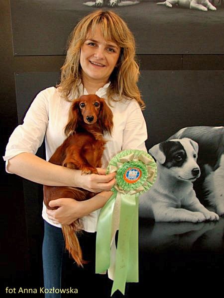 Aluzja na wystawie wiatowej 800x600 