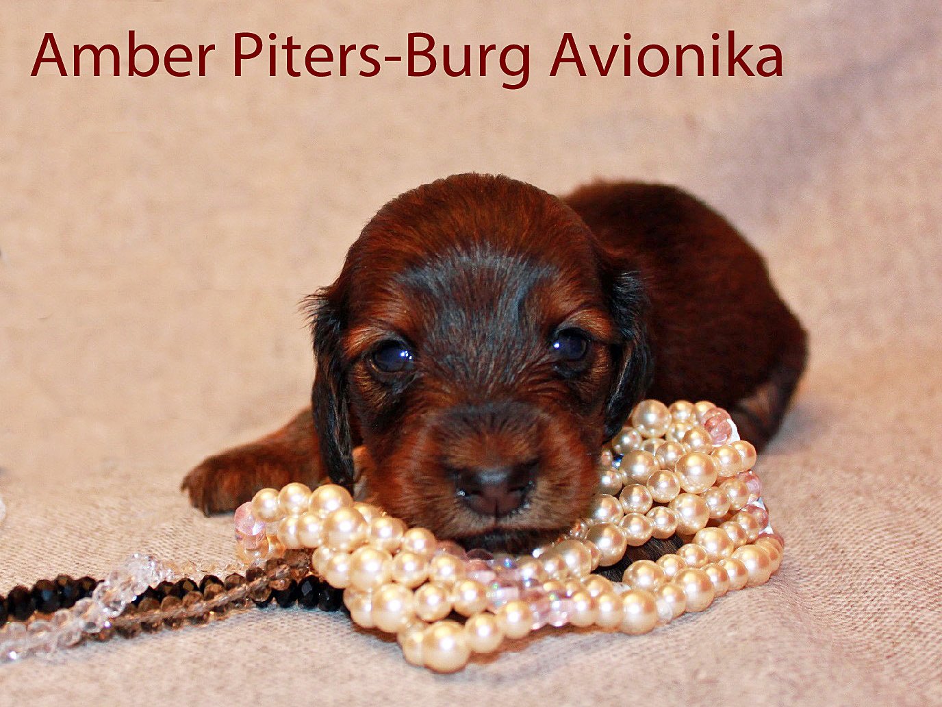 Avionika r owa