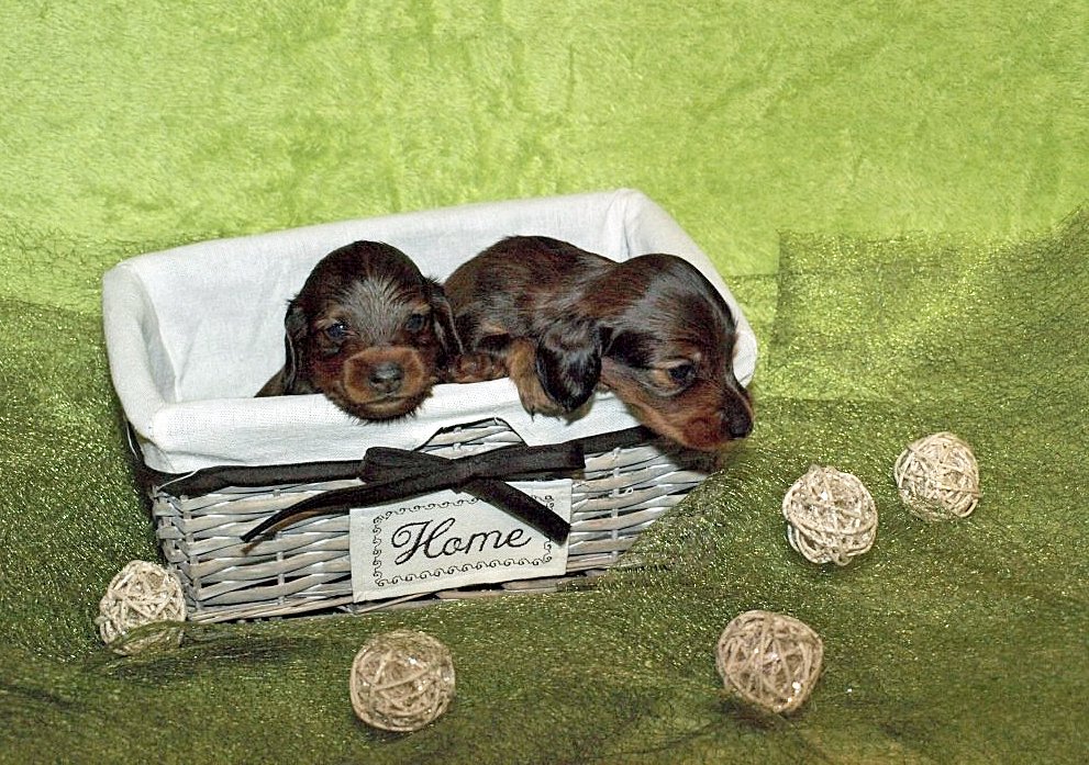 35 tygodnia 2 edytowany 1