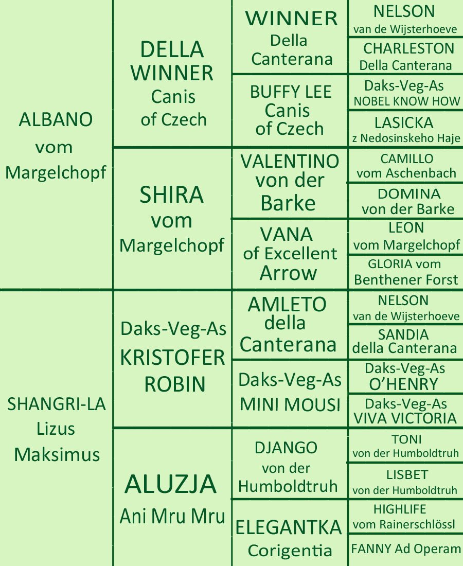 El Maraya i Emiko rodowod na strone