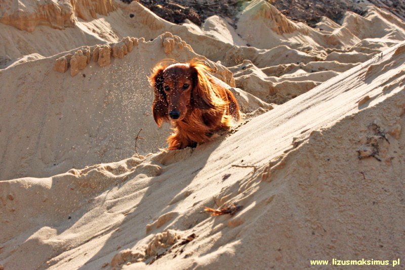 Alchi piasku ok 800x600 z podpisem