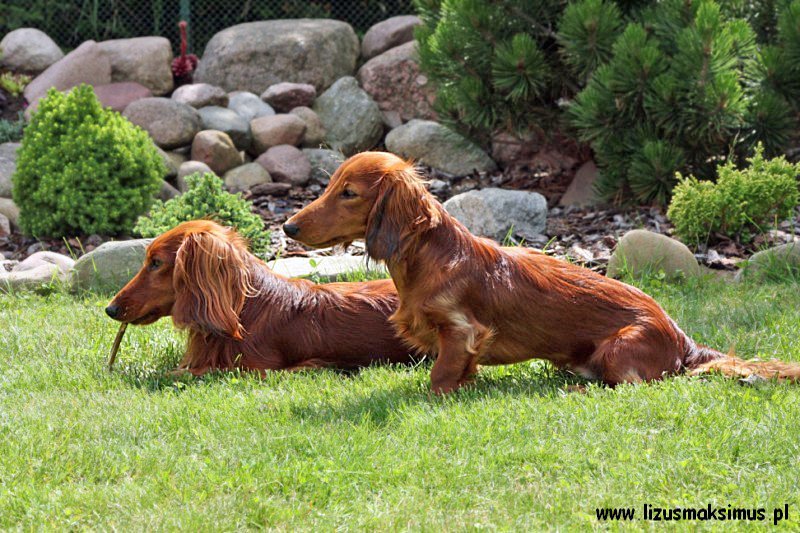 Alchi i Basim 4 ok 800x600 z podpisem