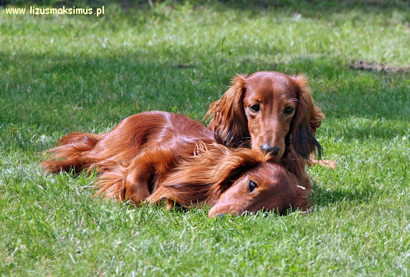 Basim z bratem 2 ok 800x600 z podpisem