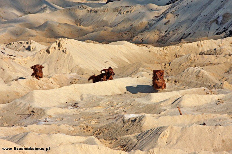 W tr jk na piaskach 3 ok 800x600 z podpisem