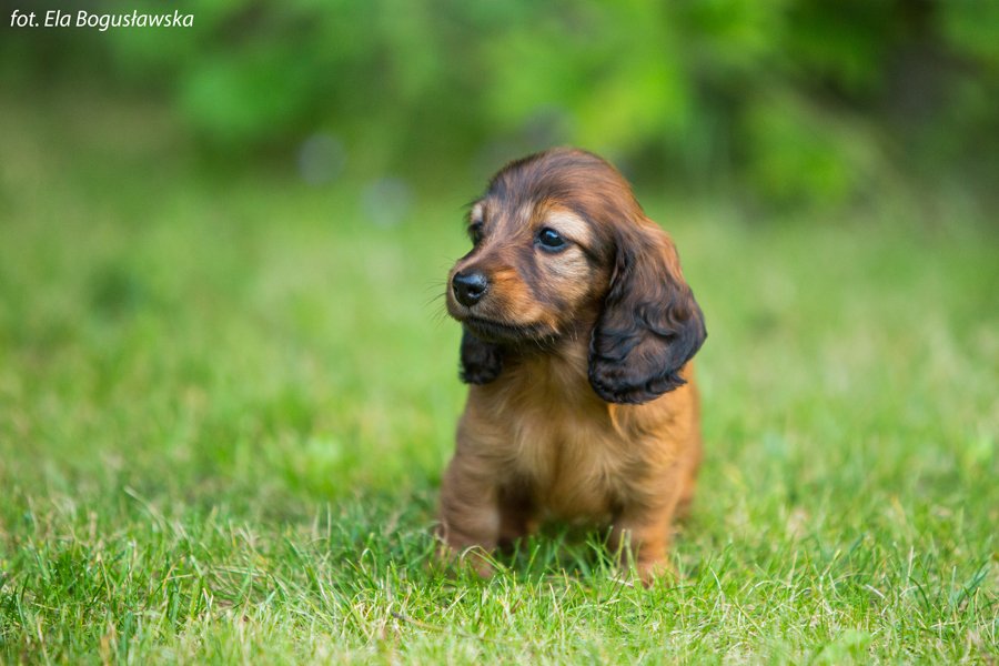 Fadila 5 tygodni i 5 dni 13 pm