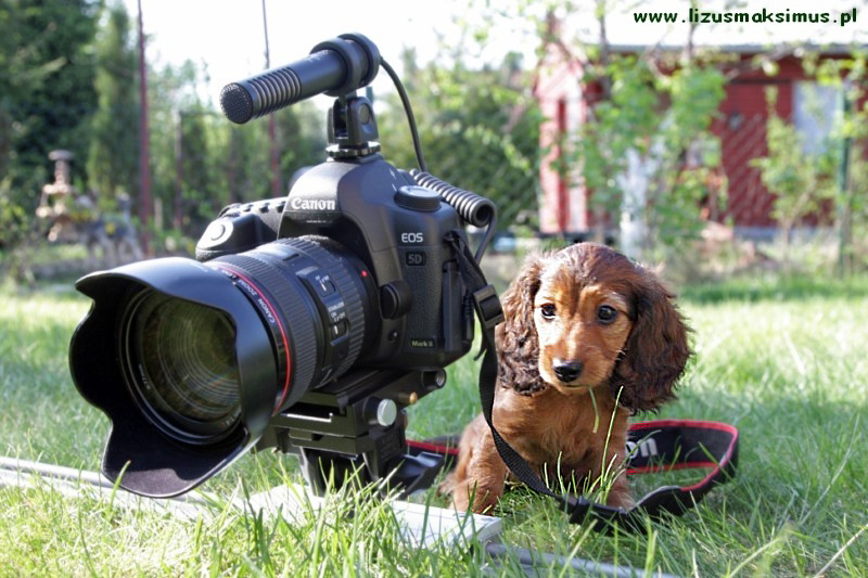 Szania z aparatem 4 ok 800x600 p