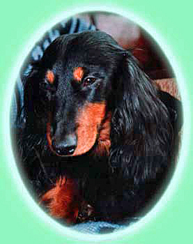 Sandy Hamil dziadek Mini Mousi ojciec matki 2