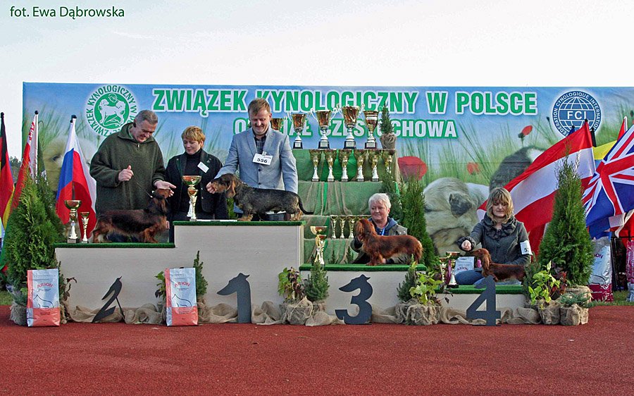 Czestochowa 2013 Fina y 9 p m