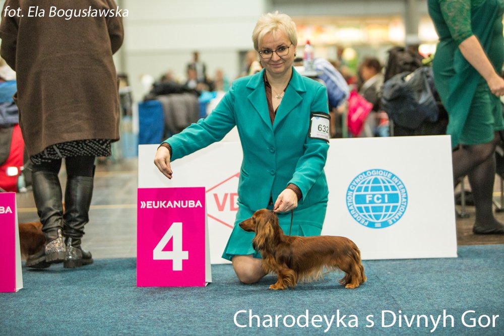 Charodeyka s Divnyh Gor 2 pm