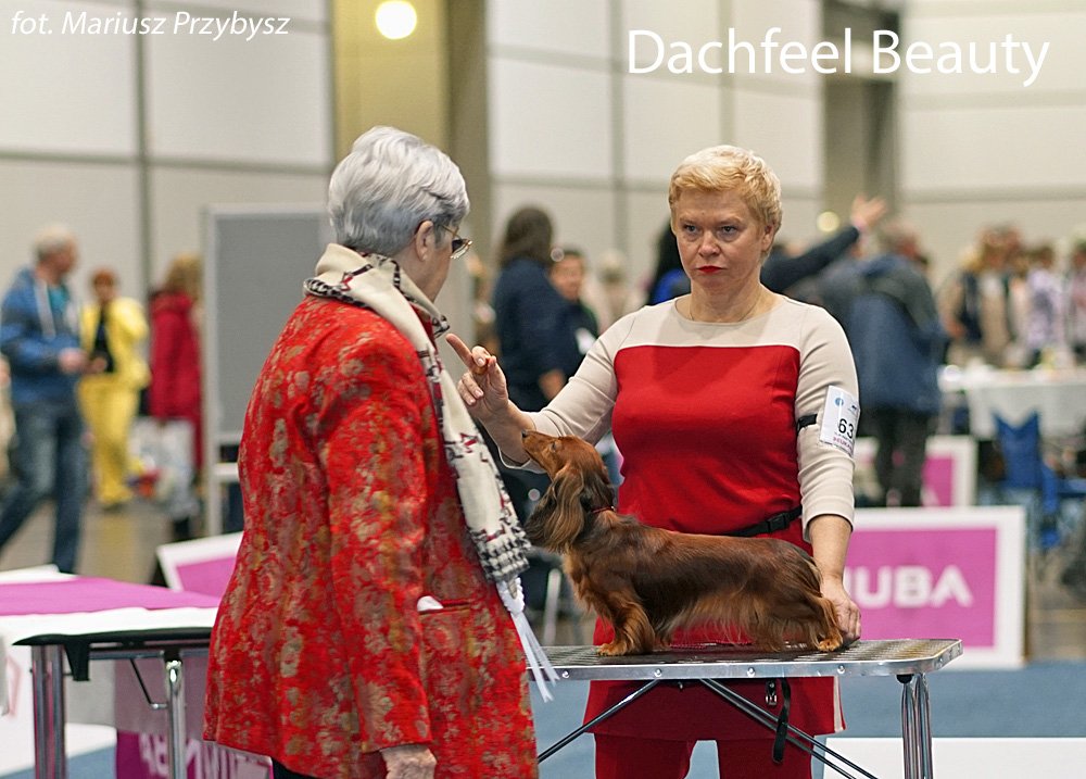 Dachfeel Beauty pm