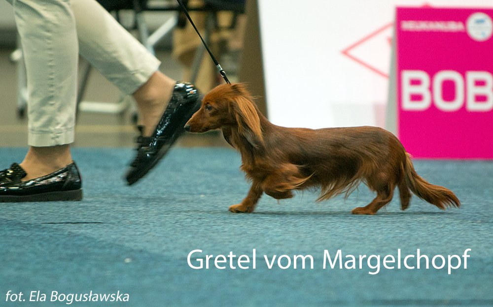 Gretel vom Margelchopf 4 pm
