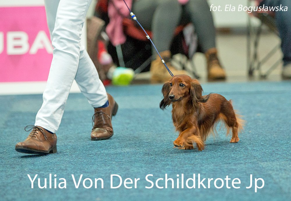 Yulia Von Der Schildkrote Jp 2 pm
