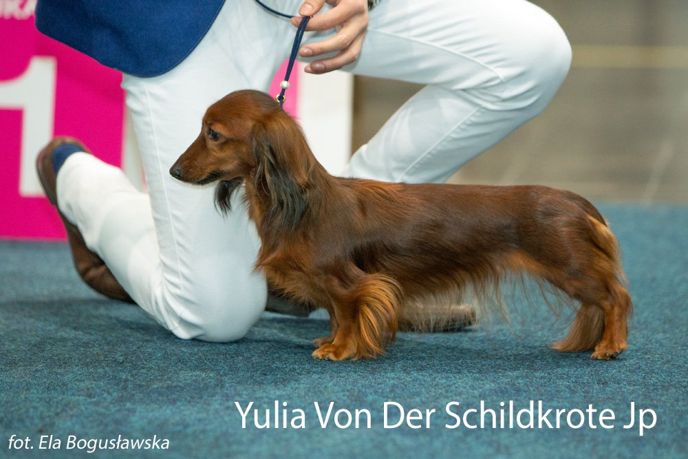 Yulia Von Der Schildkrote Jp pm