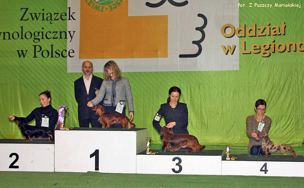 Wystawa w Nowym Dworze p