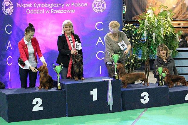 IDS RZESZ W 2014 249 m 1