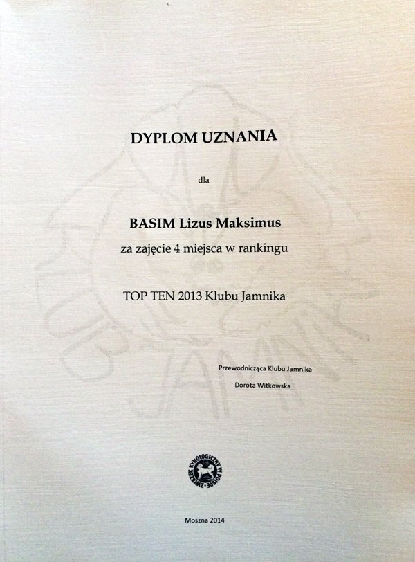 dyplom Top Ten m