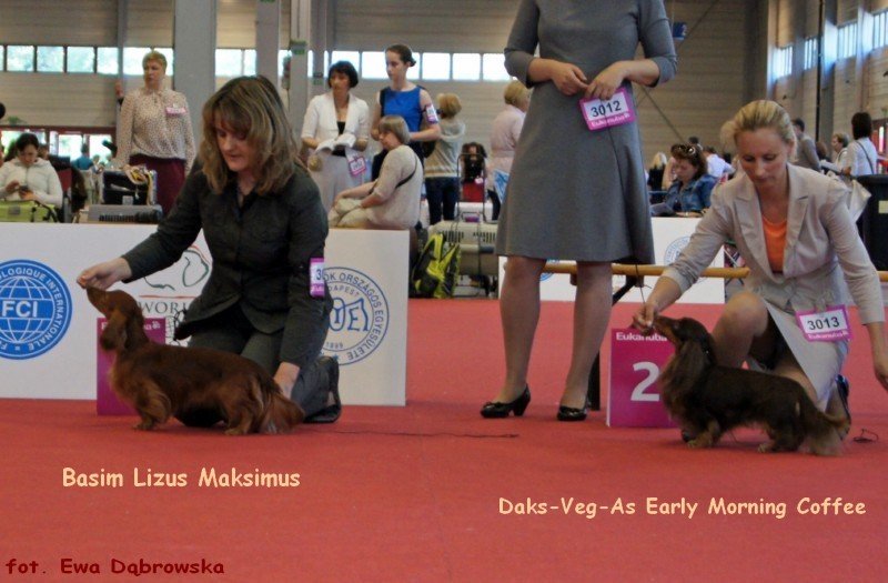 Od Marioli 5 ok 800x600