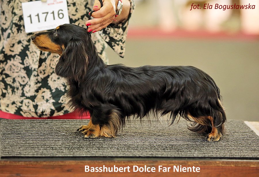 Basshubert Dolce Far Niente