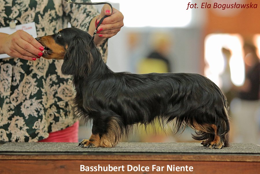 Basshubert Dolce Far Niente 2
