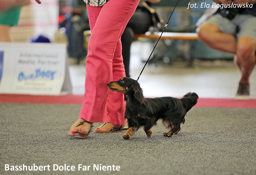 Basshubert Dolce Far Niente 3