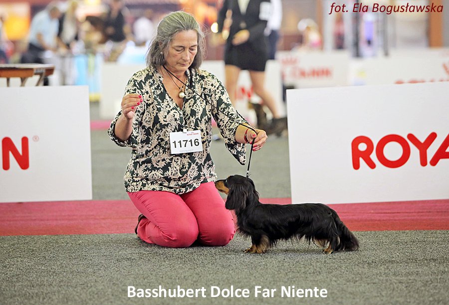 Basshubert Dolce Far Niente 4