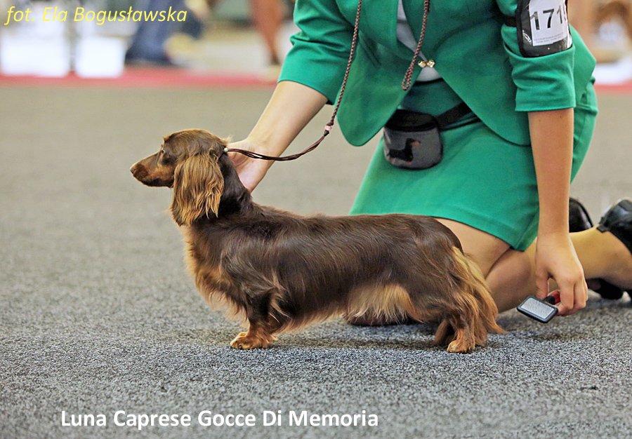 Luna Caprese Gocce Di Memoria 2