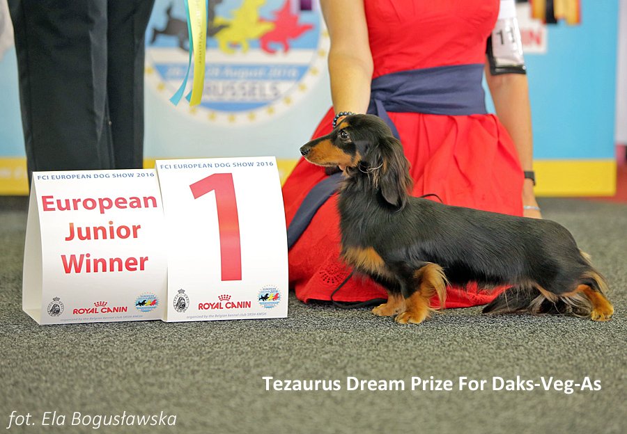 Tezaurus Dream Prize For Daks Veg As 2