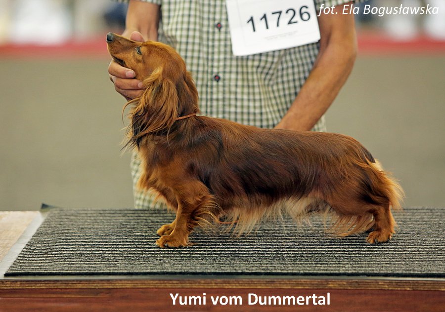 Yumi vom Dummertal