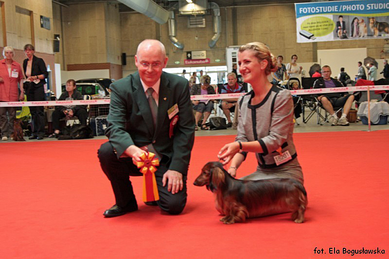 Miniatury BOB HEATWAVE HEAVEN SENT 800x600 