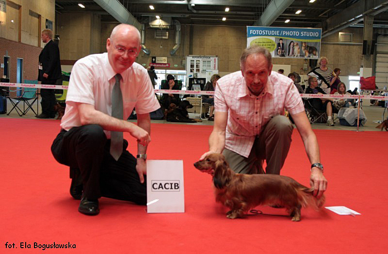 Miniatury suki CACIB OPALINA S SHEENA EASTON 800x600 