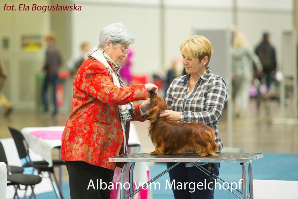 Albano vom Margelchopf 4