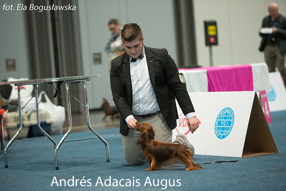 Andrés Adacais Augus 3 pm