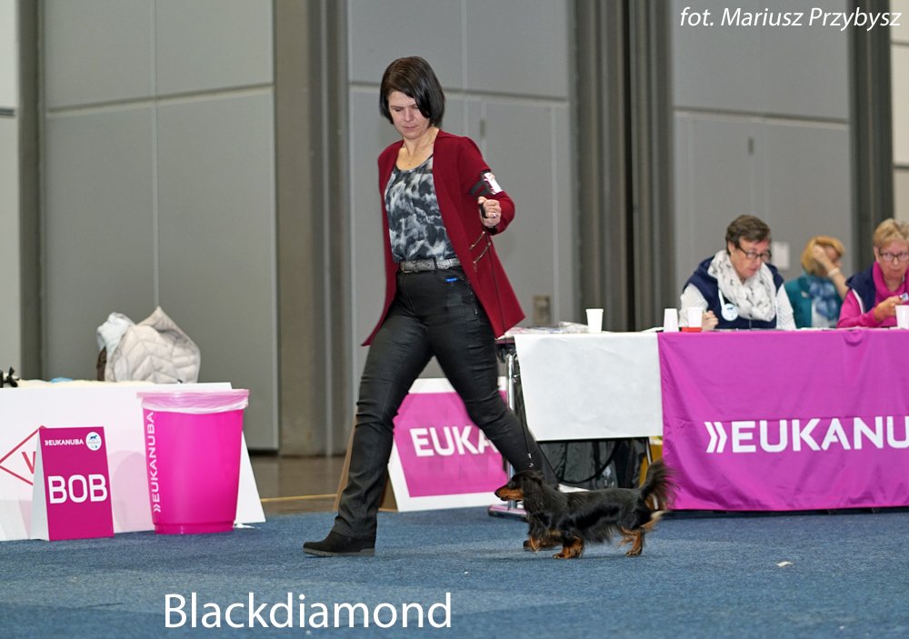 Blackdiamond 2