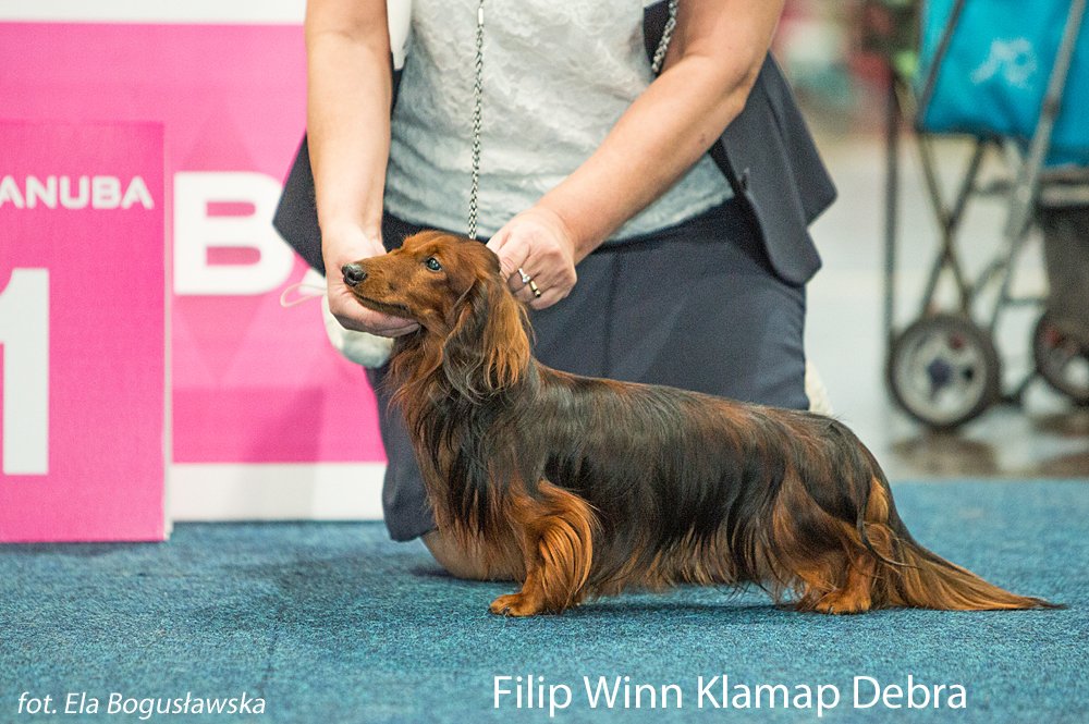 Filip Winn Klamap Debra