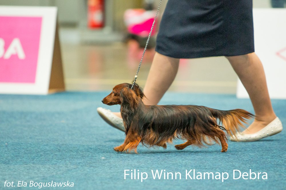Filip Winn Klamap Debra 2