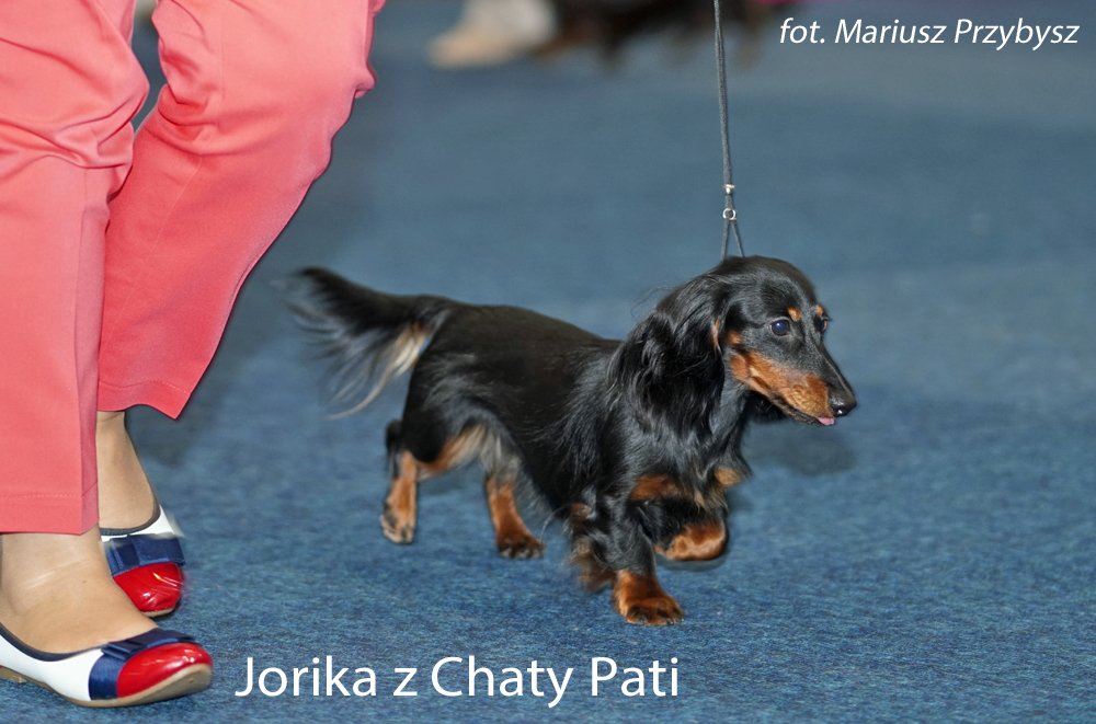 Jorika z Chaty Pati pm