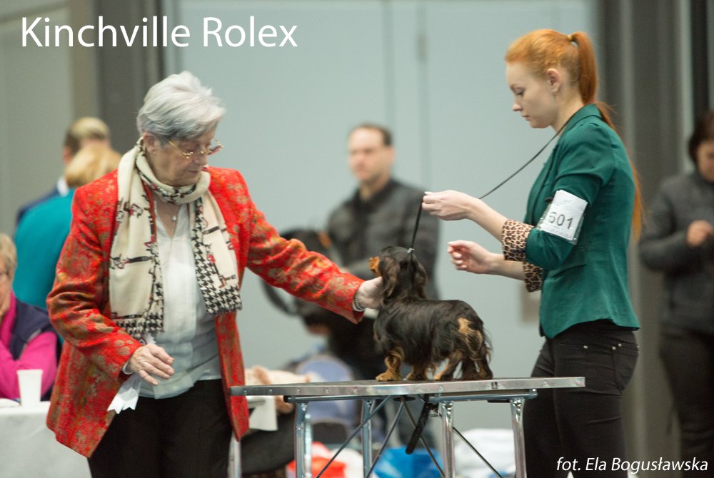 Kinchville Rolex