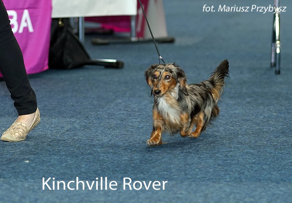 Kinchville Rover 2 pm