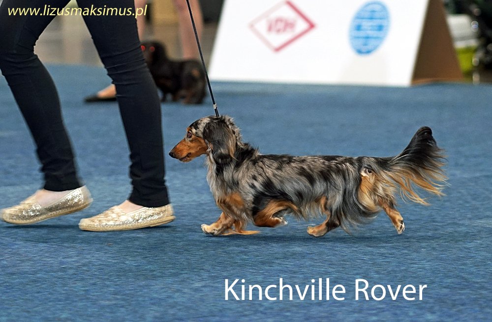 Kinchville Rover 3 pm