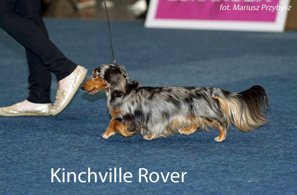 Kinchville Rover 4 pm
