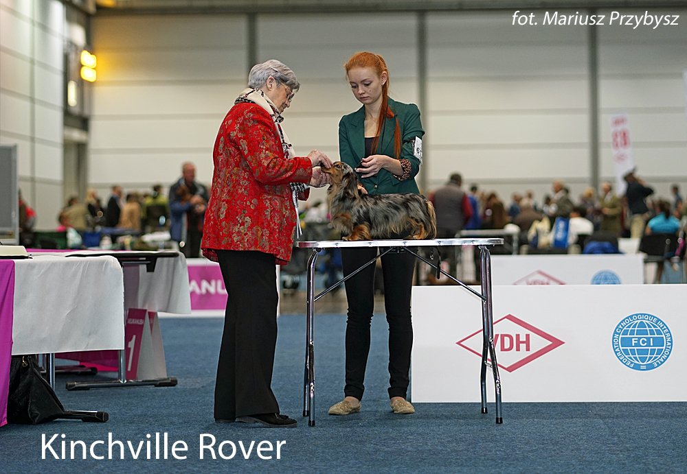 Kinchville Rover pm
