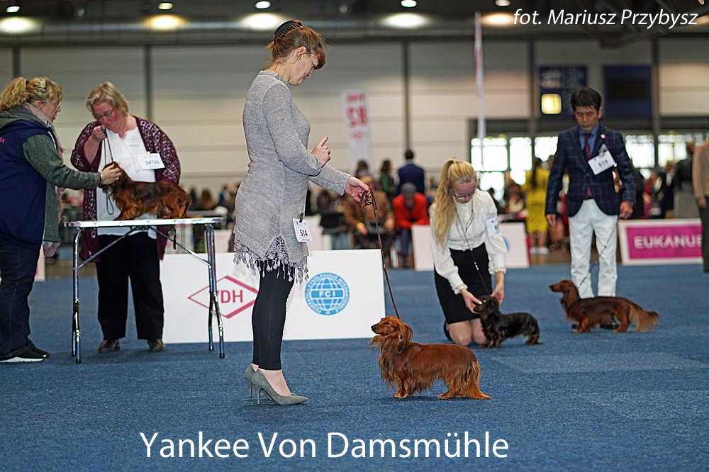 Yankee Von Damsmühle 4 pm