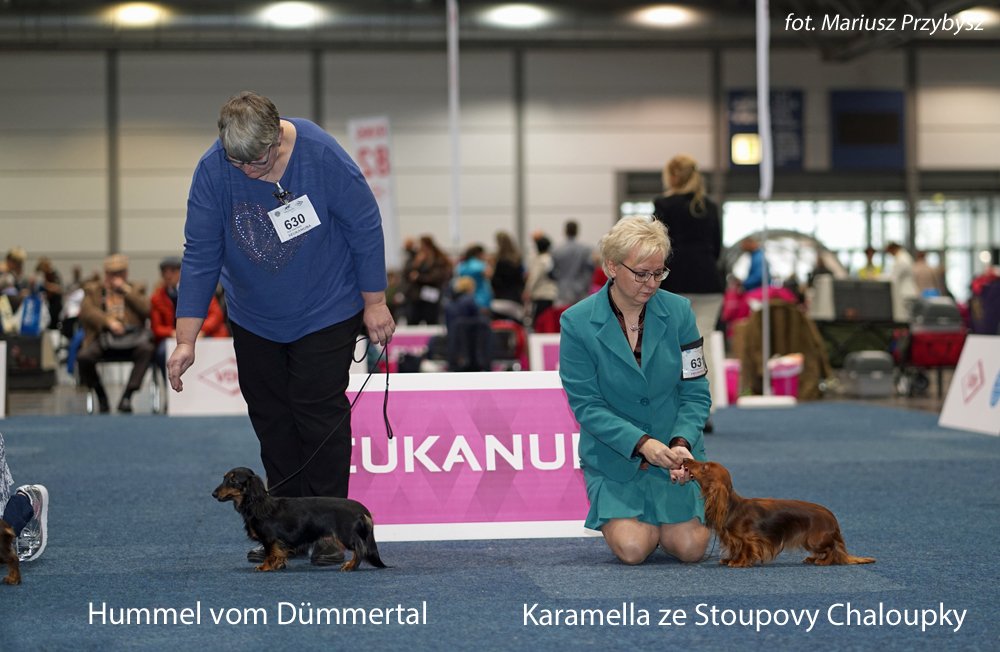 suki klasa pośrednia pm