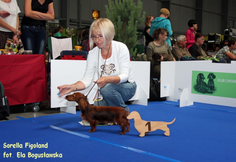 Sorelka na klub wce ok z podpisem 800x600