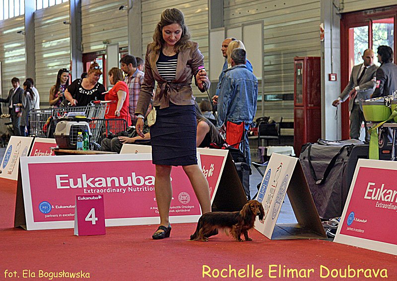 Rochelle Elimar Doubrava 2 p m