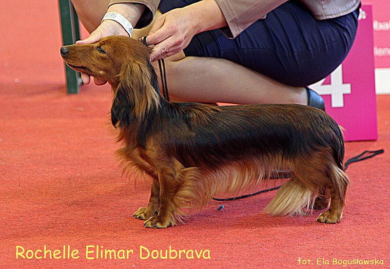 Rochelle Elimar Doubrava 6 p m