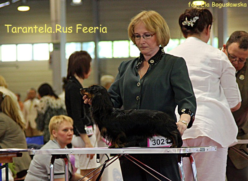 Tarantela Rus Feeria p m
