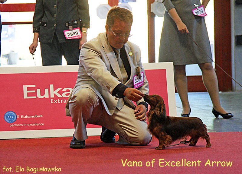 Vana of Excellent Arrow JP 2 p m