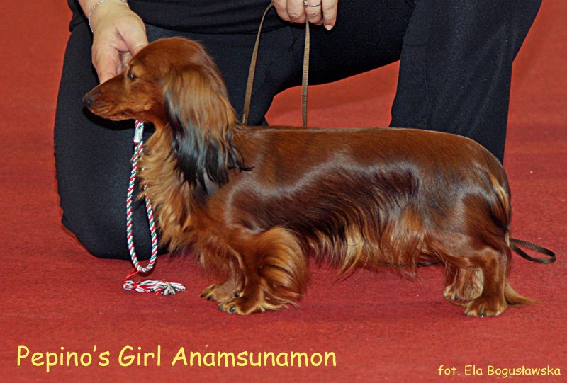  Peepino s Girl Anamsunamon 5 p m