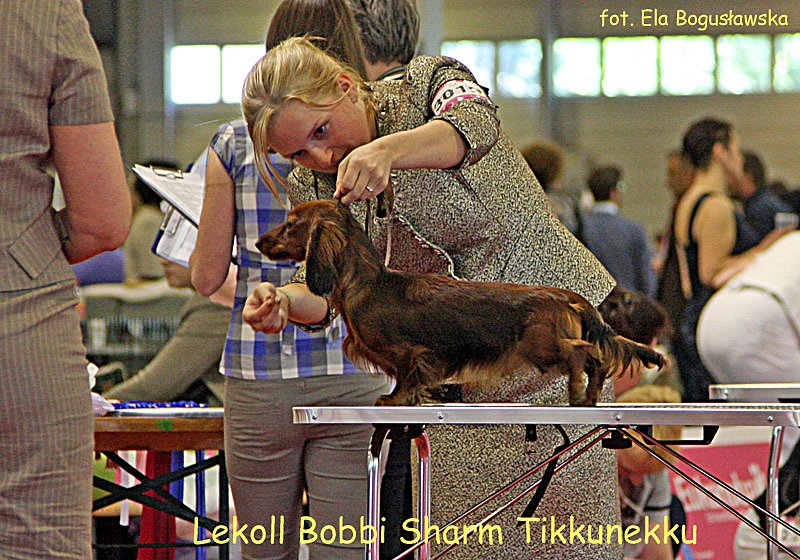 m odzie suki Lekoll Bobbi Sharm Tikkunekku p m